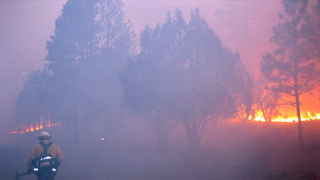 Western Wildfires_Pata.jpg